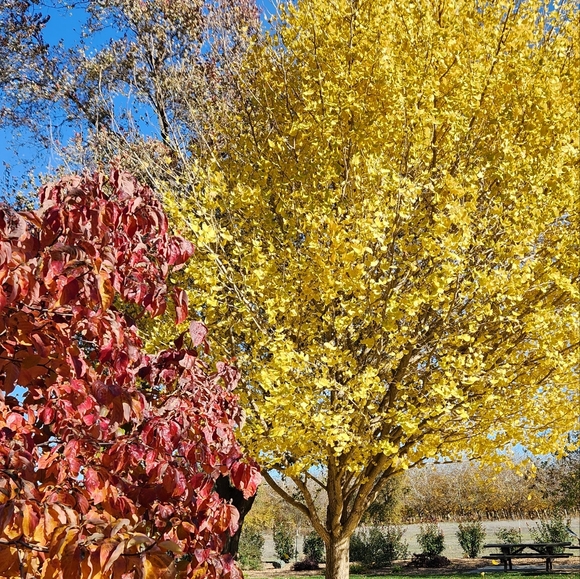 Welcome to my Closet!! -@IFilmBugs - Picture 1 of 1